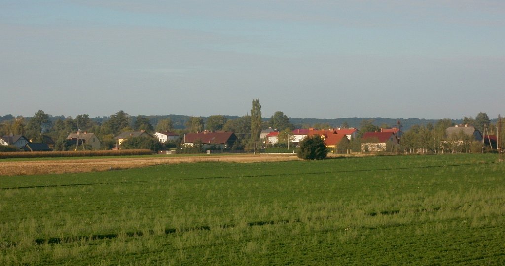 IMG_x33700_X44_P09230859_cr.jpg - OLYMPUS DIGITAL CAMERA         