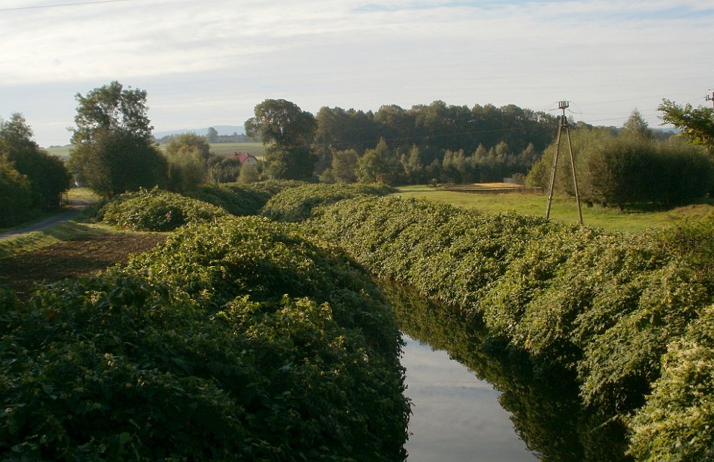 IMG_x33700_X44_P09230867_cr.jpg - OLYMPUS DIGITAL CAMERA         