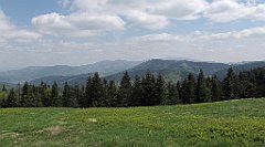 IMG_x38378_cr