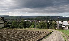 IMG_x38762_cr