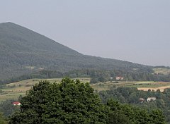 077_IMG_x40700_cr