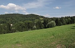 546_IMG_x41302_cr
