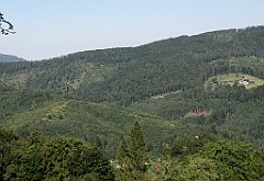 060_IMG_x42746_cr