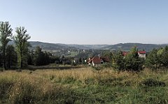 077_IMG_x43306_cr