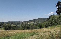 IMG_x44166_cr
