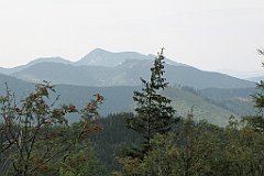 IMG_x44376_cr