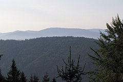 041_IMG_x44958_cr