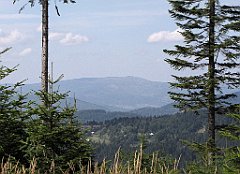 189_IMG_x45120_cr