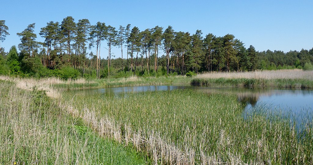 3D_P1010493_cr.jpg