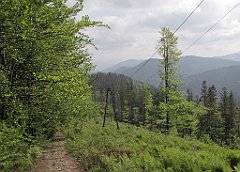 092_IMG_x45866_cr