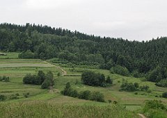 077_IMG_x46577_cr