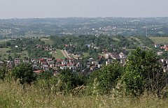 300_IMG_x46844_cr