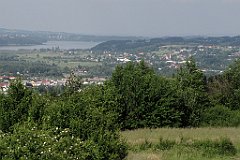 319_IMG_x46868_cr