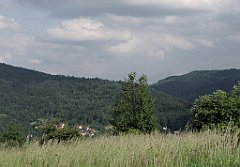 330_IMG_x46883_cr