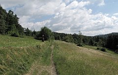076_IMG_x47567_cr