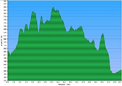 000a_2014_07_15w_Jordanow_Mioduszna