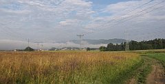 006_IMG_x49107_cr