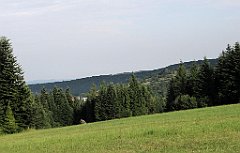 077_IMG_x49190_cr