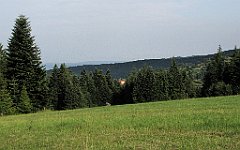 081_IMG_x49196_cr
