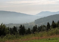 097_IMG_x49216_cr