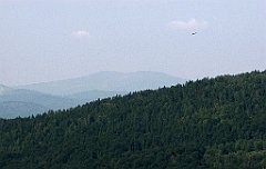168_IMG_x49300_cr
