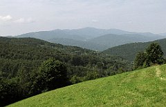 177_IMG_x49319_cr