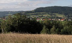 141_IMG_x49788_cr