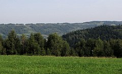 117_IMG_x50637_cr