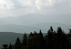 136_IMG_x50658_cr