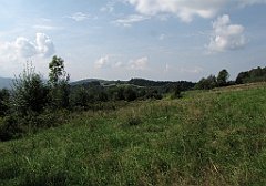 239_IMG_x50792_cr