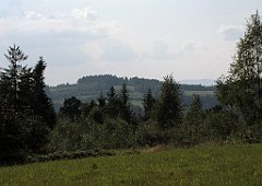 300_IMG_x50856_cr