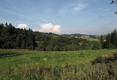 394_IMG_x50984_cr