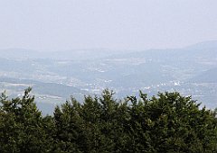166_IMG_x51135_cr