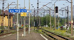 002_TZ60_P1010869_cr