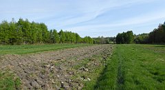 022_TZ60_P1010885_cr