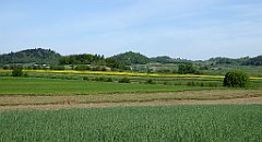 078_TZ60_P1010957_cr