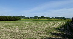 082_TZ60_P1010962_cr