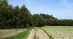 083_TZ60_P1010963_cr