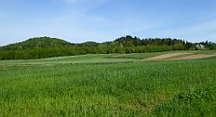 086_TZ60_P1010965_cr