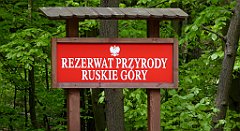 113_TZ60_P1010980_cr