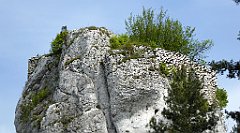 122_TZ60_P1010989_cr