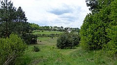 133_TZ60_P1010993_cr