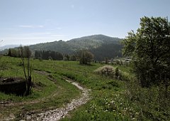 036_IMG_x51721_cr