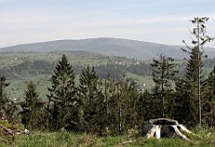 075_IMG_x51765_cr