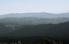 136_IMG_x51829_cr