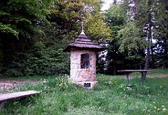 225_A808_IMG_20150517_152935_cr