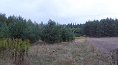 017_TZ60_P1040437_cr