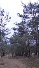 024_TZ60_P1040444_cr