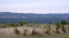 060_TZ60_P1040481_cr