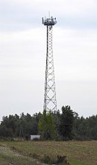 121_TZ60_P1040564_cr